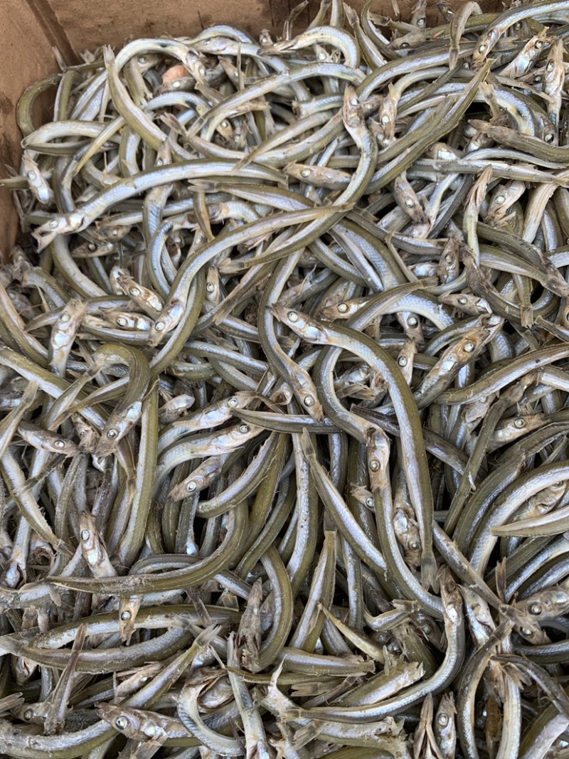 小青鱼面条鱼银鱼海水鱼干度好杂质少微盐
