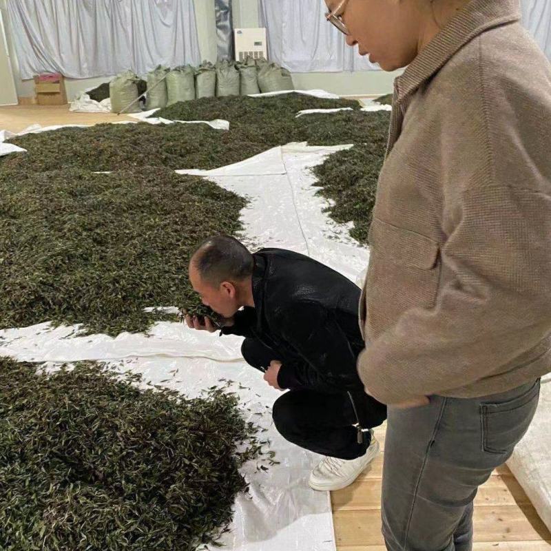 高山云雾茶