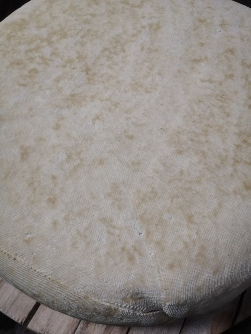 豆腐