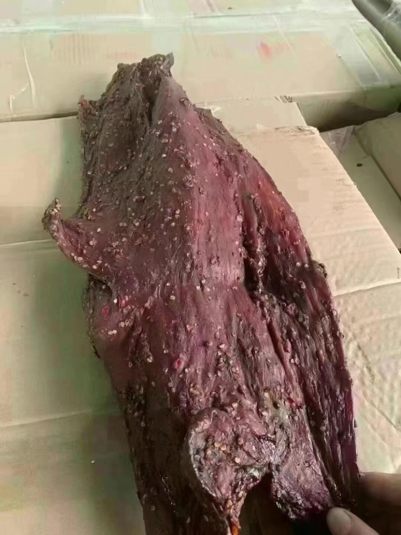 麻辣大块肉【五香、麻辣】（门市，展会，赶集）