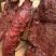 麻辣大块肉【五香、麻辣】（门市，展会，赶集）