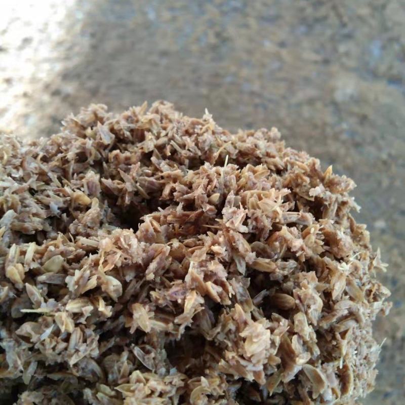大量供应黄酒糟，养殖用的廉价饲料，营养丰富，适合牛羊等