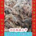包邮小龙虾苗活体种虾苗抱卵淡水养殖龙虾苗青虾幼苗批发培育