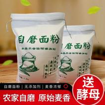 【厂家】河南农家自磨面粉5斤/10斤通用面粉小麦粉
