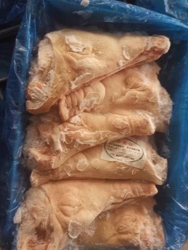精品优质一级开半猪头，直接有保证，手续齐全新货