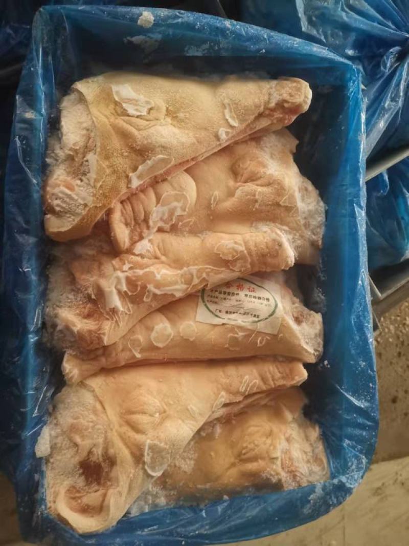 精品优质一级开半猪头，直接有保证，手续齐全新货
