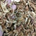 陈皮药用陈皮，足斤足量，纯无硫，货足干。
