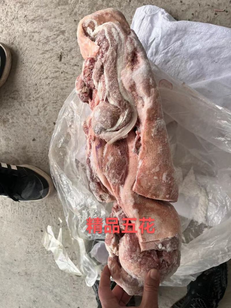 肥猪前后上肉