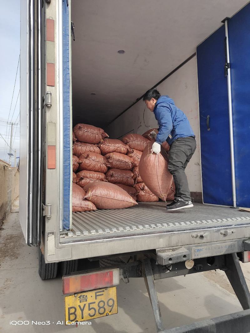 干枣泡茶熬粥市场批发加工用枣