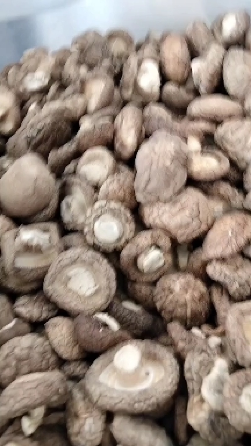 各种规格干香菇，产地直发，一手货源，量大从优，欢迎联系