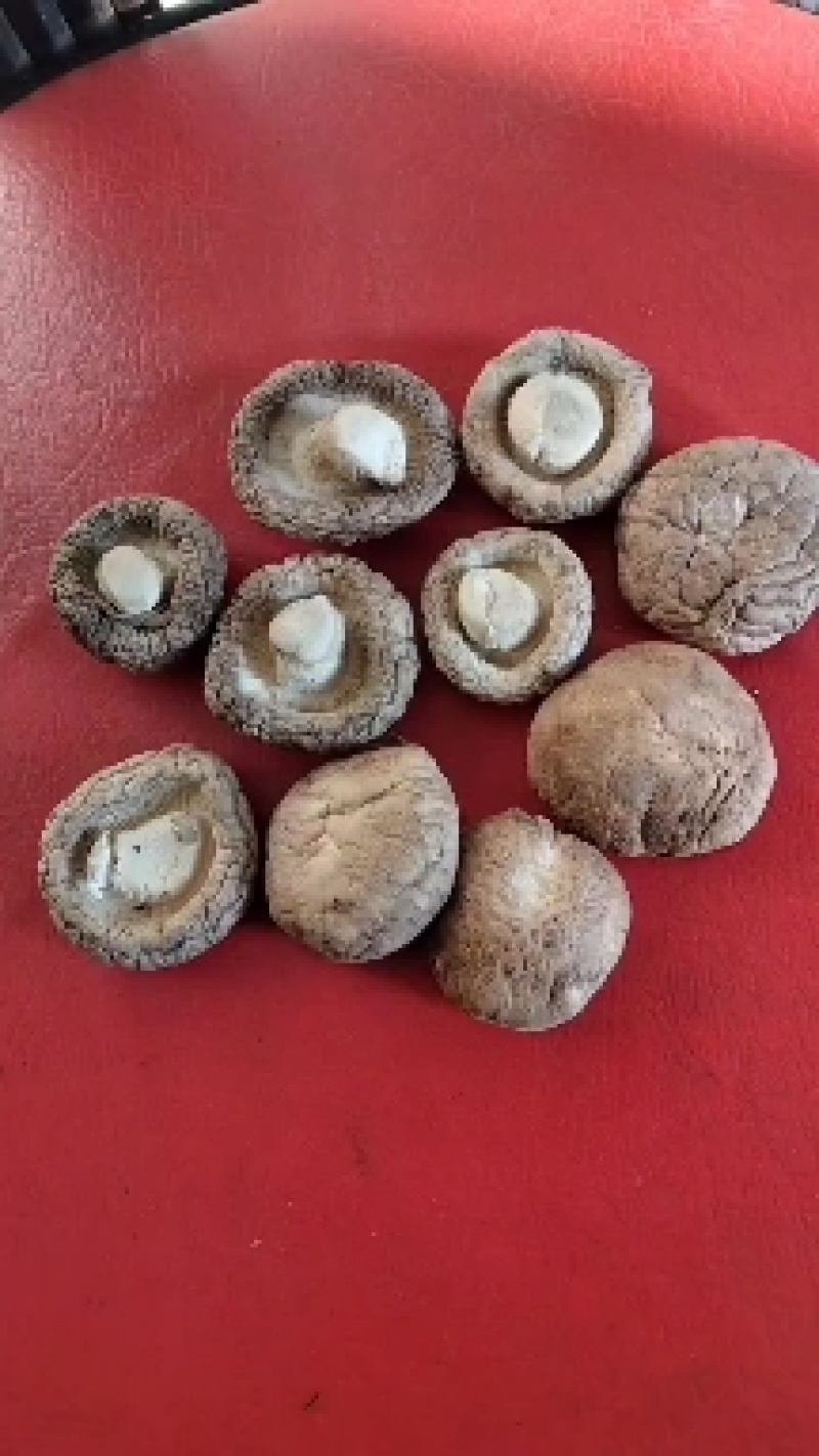 各种规格干香菇，产地直发，一手货源，量大从优，欢迎联系