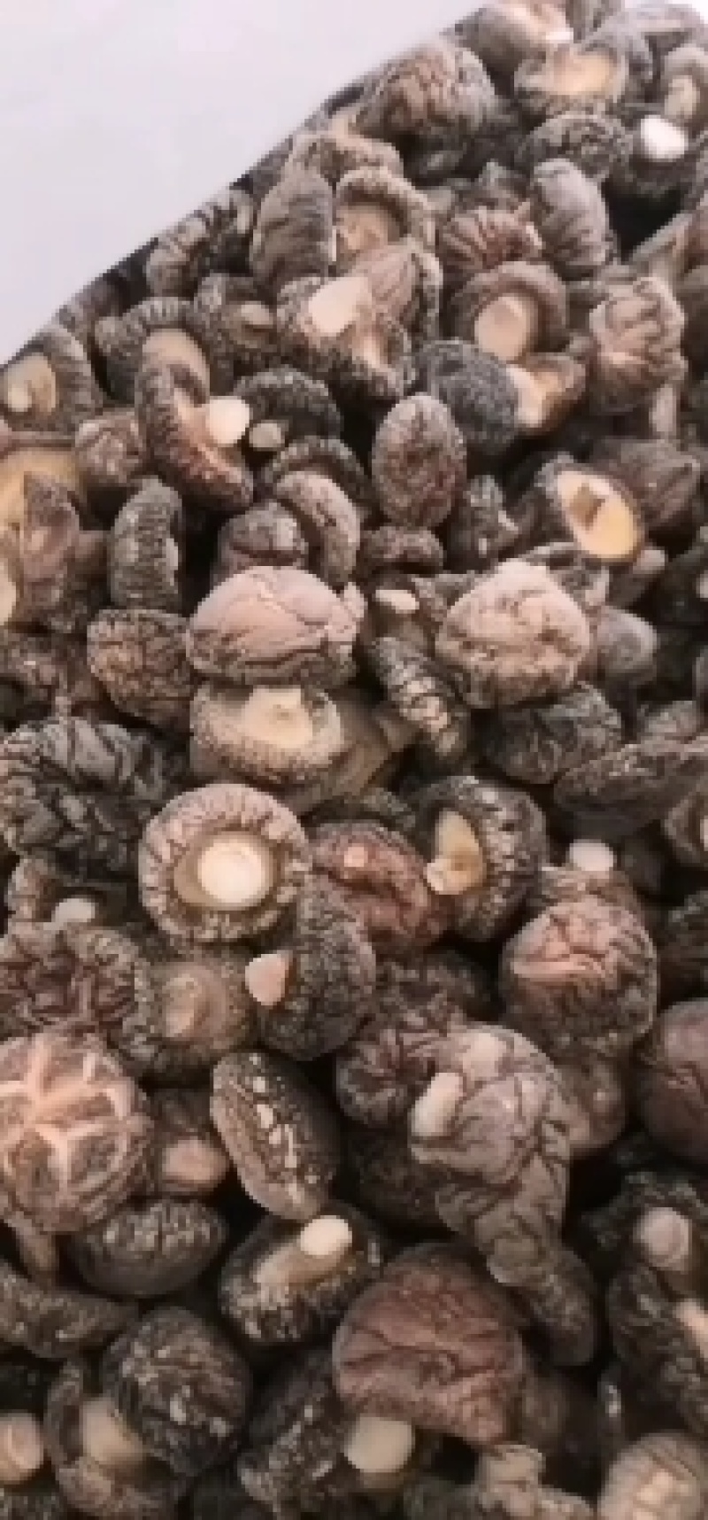 各种规格干香菇，产地直发，一手货源，量大从优，欢迎联系