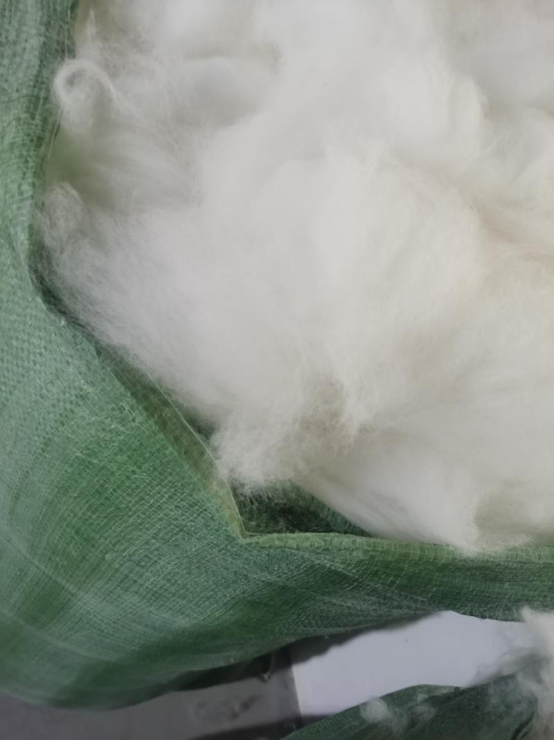 春堂兔毛有限公司常年供应长毛兔兔毛原料，机梳兔绒.,，