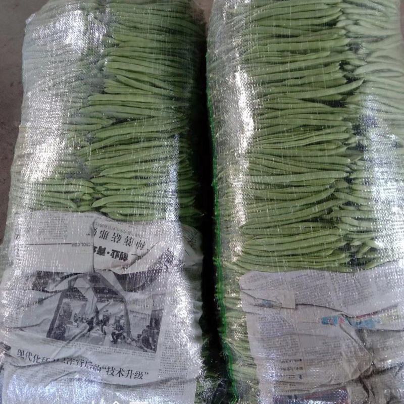 露天种植的四季豆