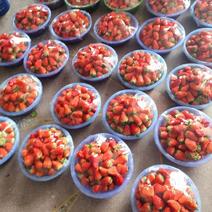 奶油草莓。良心农家