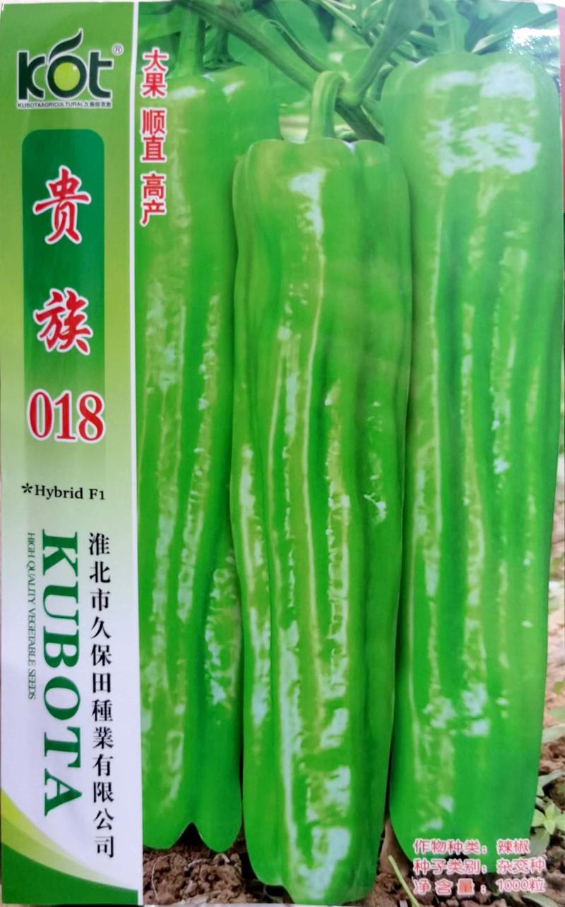 贵族018薄皮椒种子，产量高，品质好，薄皮椒，致富选择