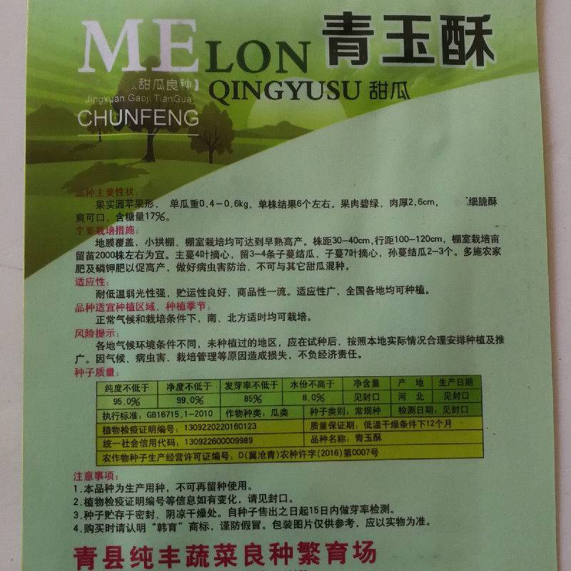 青玉酥甜瓜种子籽果肉碧绿肉厚香酥春季播拱棚露地易种植含糖