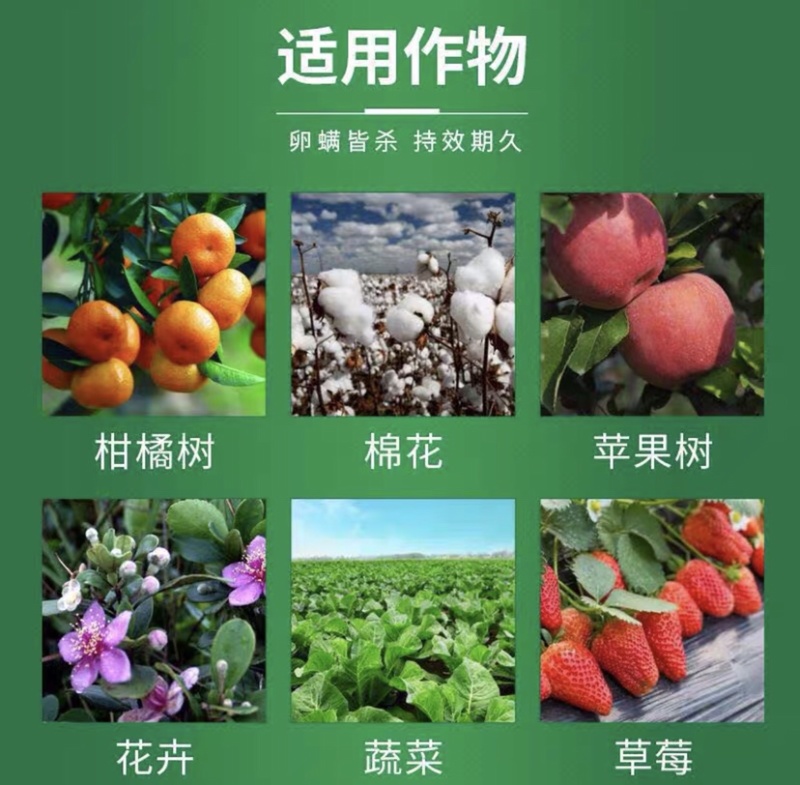 中化布加迪30%乙唑螨腈红蜘蛛果树柑橘苹果蔬菜杀虫杀螨剂