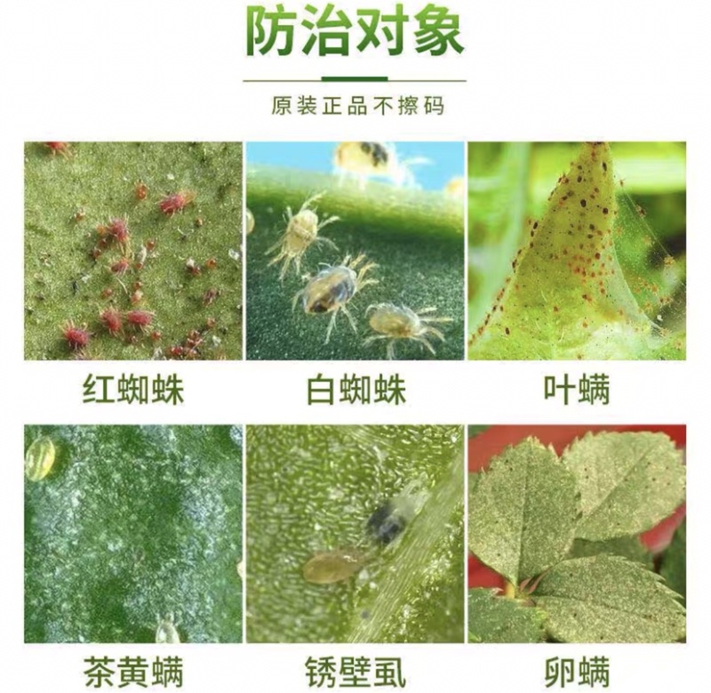 中化布加迪30%乙唑螨腈红蜘蛛果树柑橘苹果蔬菜杀虫杀螨剂