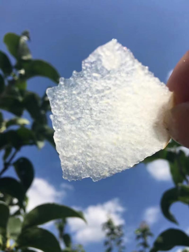 梨树苗秋月梨树苗黄金梨树苗桃树苗包教技术，代收购果子。