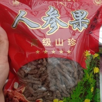 青海天然野生植物蕨麻，人参果，生长在高海拔地区，气候寒冷