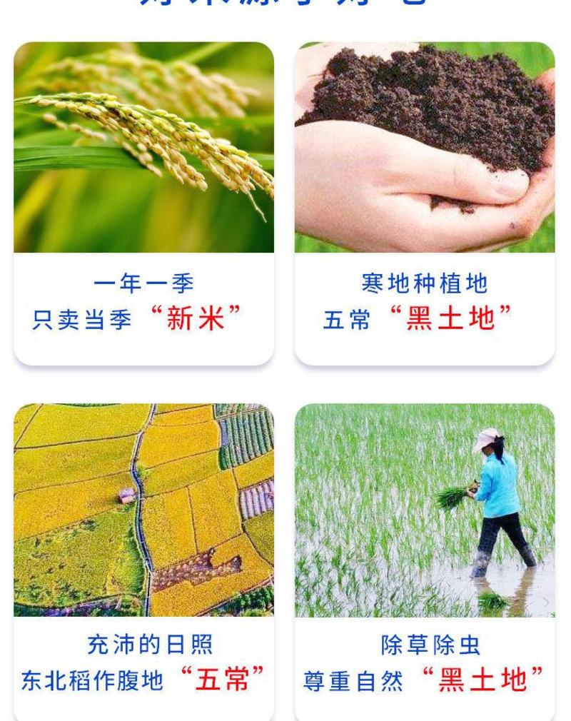 东北正宗五常稻花香大米10斤20斤长粒香米批发农家自产
