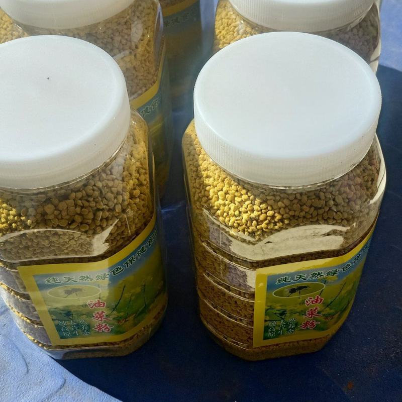 青海油菜花粉(青海高原油菜花粉)高海拔，无污染，纯粉。