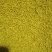 青海油菜花粉(青海高原油菜花粉)高海拔，无污染，纯粉。