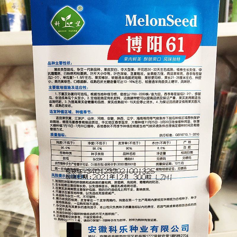 博阳61甜瓜种子羊角脆羊角蜜薄皮甜脆杂交种子春秋种甜瓜