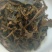 2004年土林凤凰无量山茶，大理南涧茶厂