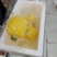 香水小菠萝