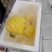 香水小菠萝
