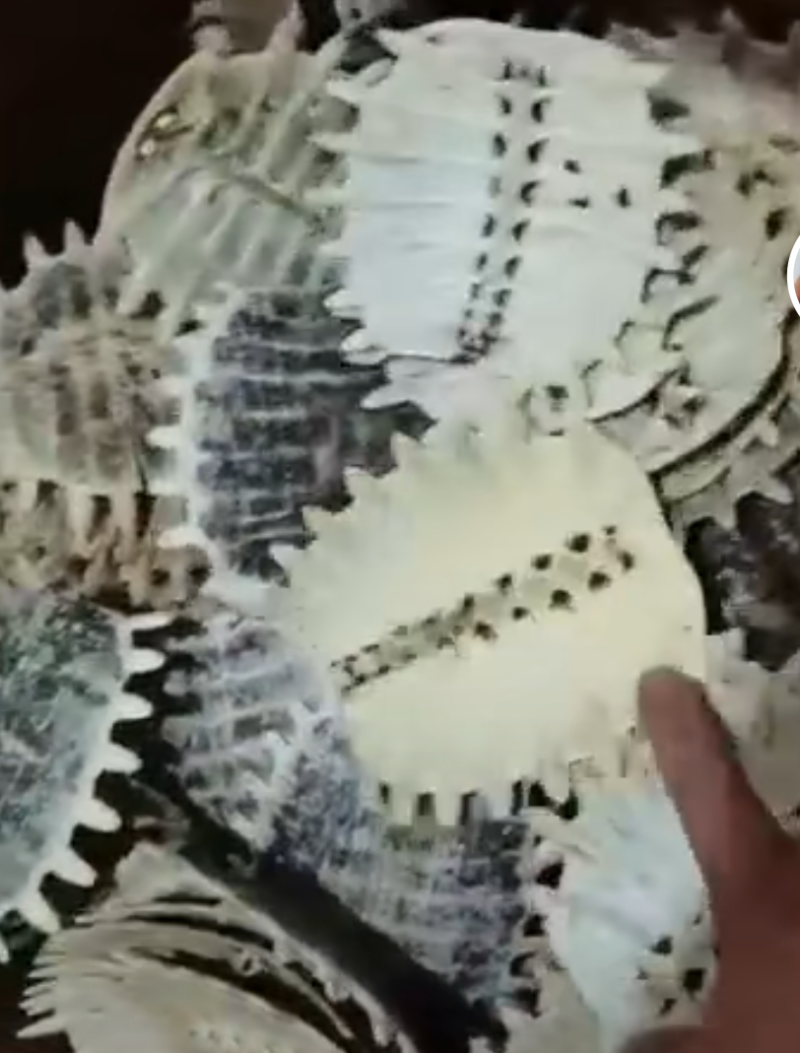 甲鱼壳