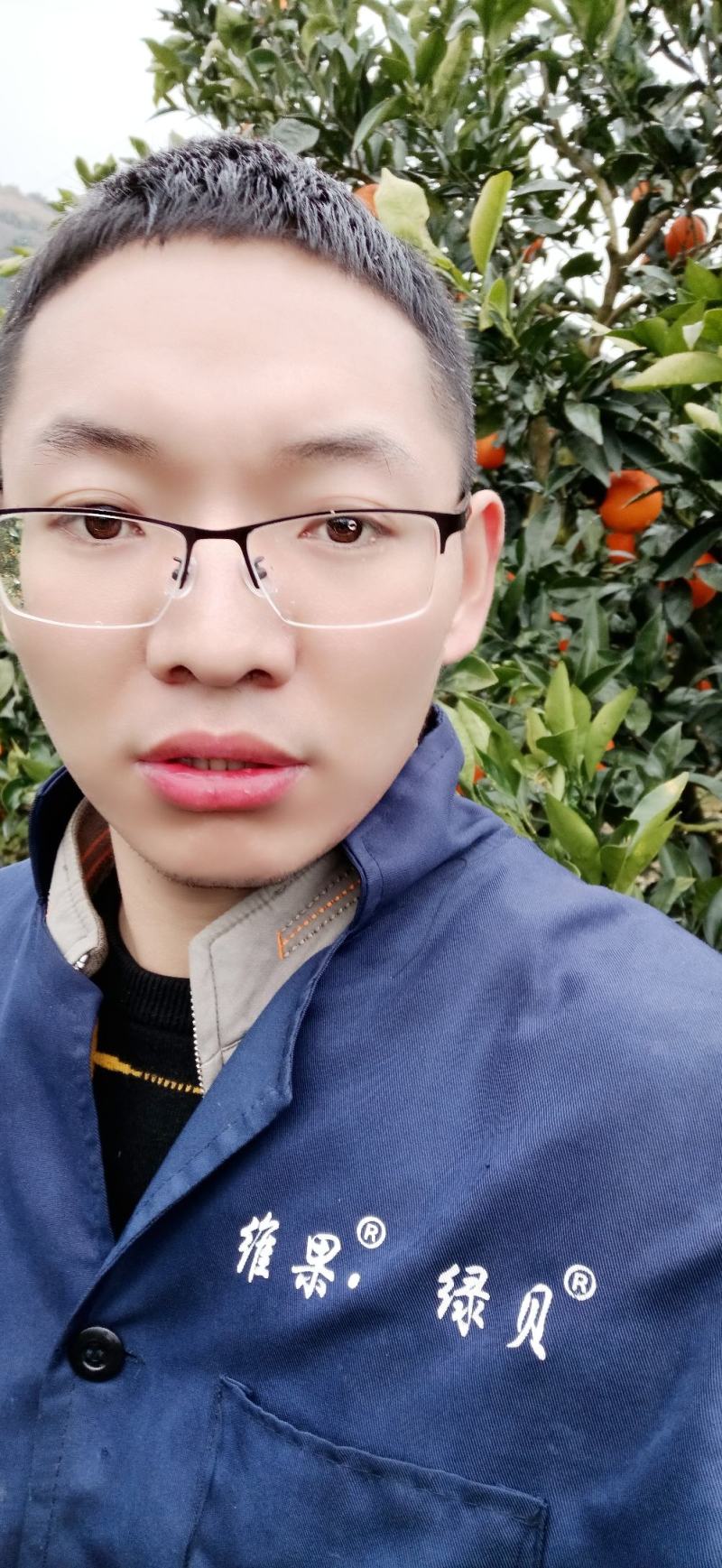 正宗奉奉节脐橙，自家果园，支持一件代发，基地代办