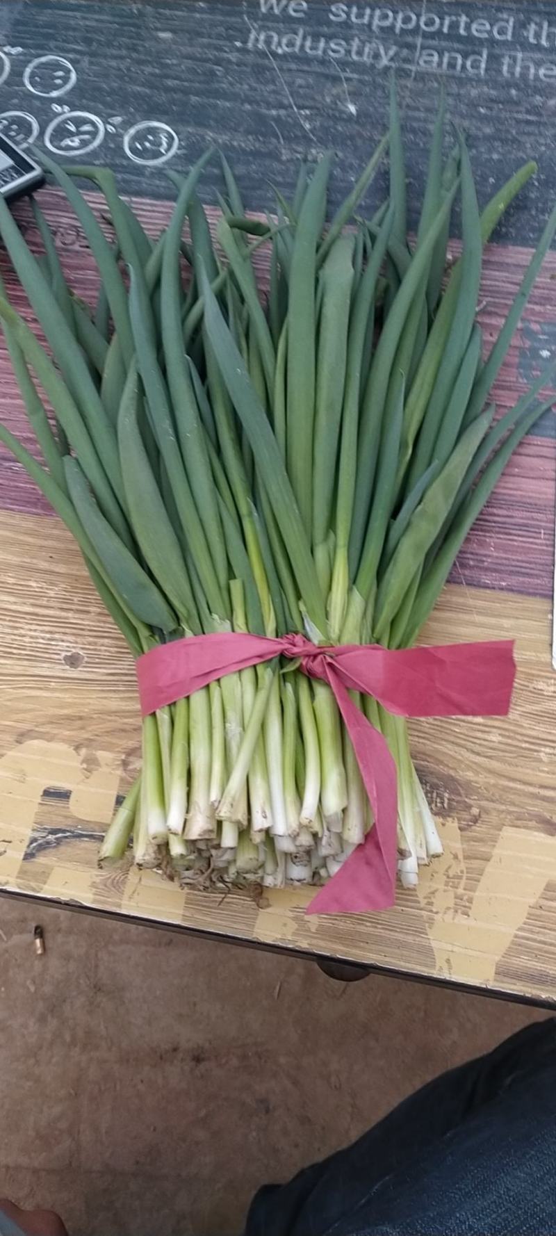 优质小割葱小葱产地直发货源充足欢迎老板联系选购