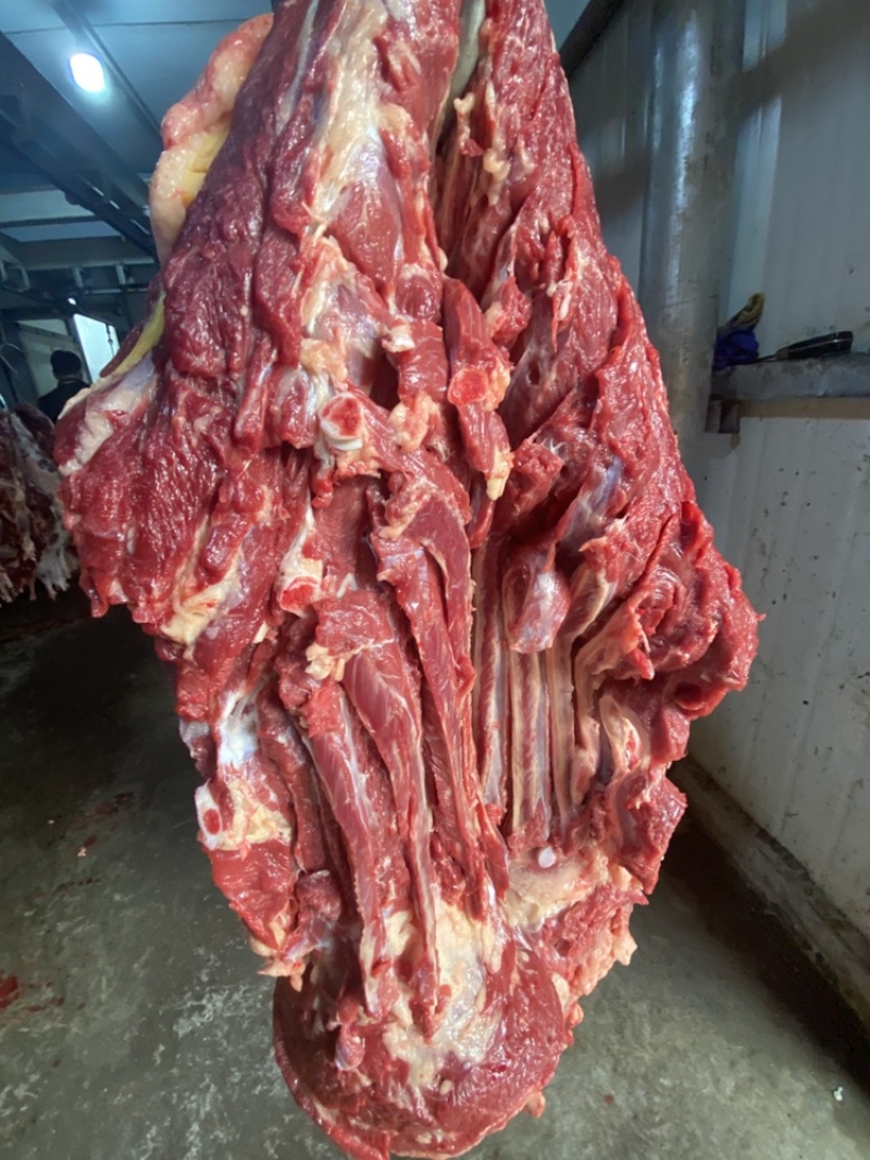 鲜马肉，天天现杀的鲜货，纯干的，一手货源，放心采购