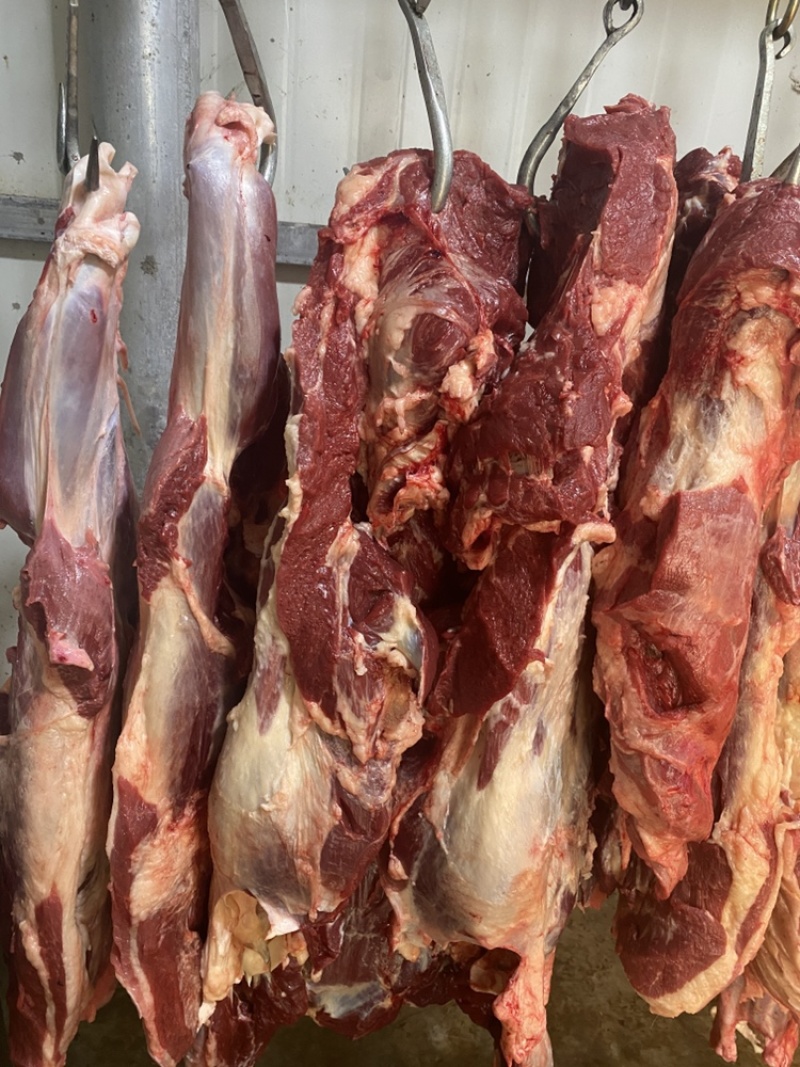 鲜马肉，天天现杀的鲜货，纯干的，一手货源，放心采购