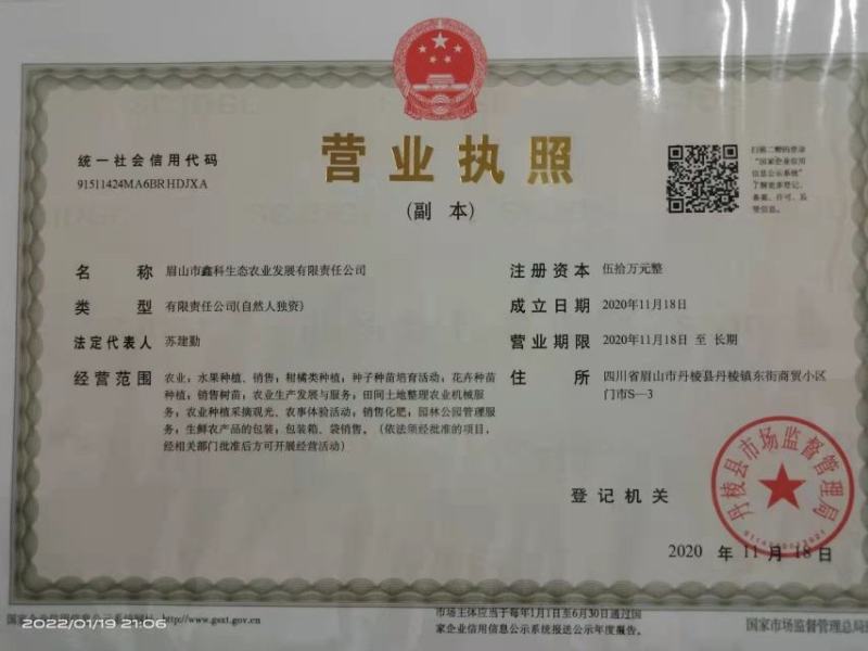 爱媛38。2公分到5公分。大土球。提供检疫证