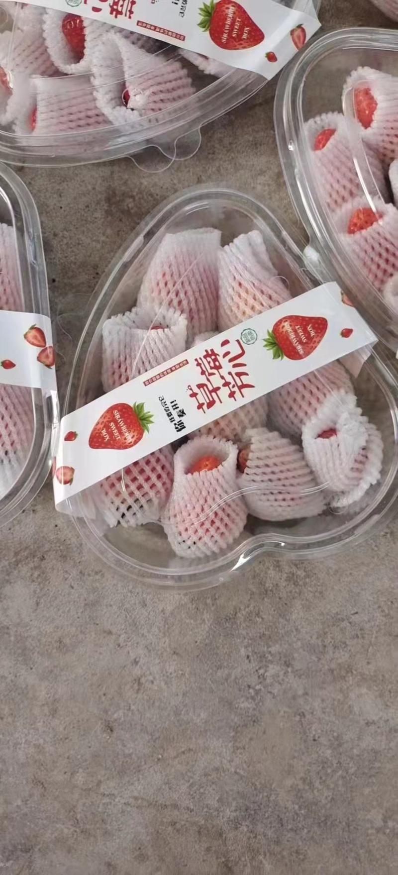 [精选]江苏徐州草莓奶油草莓产地直发货源充足