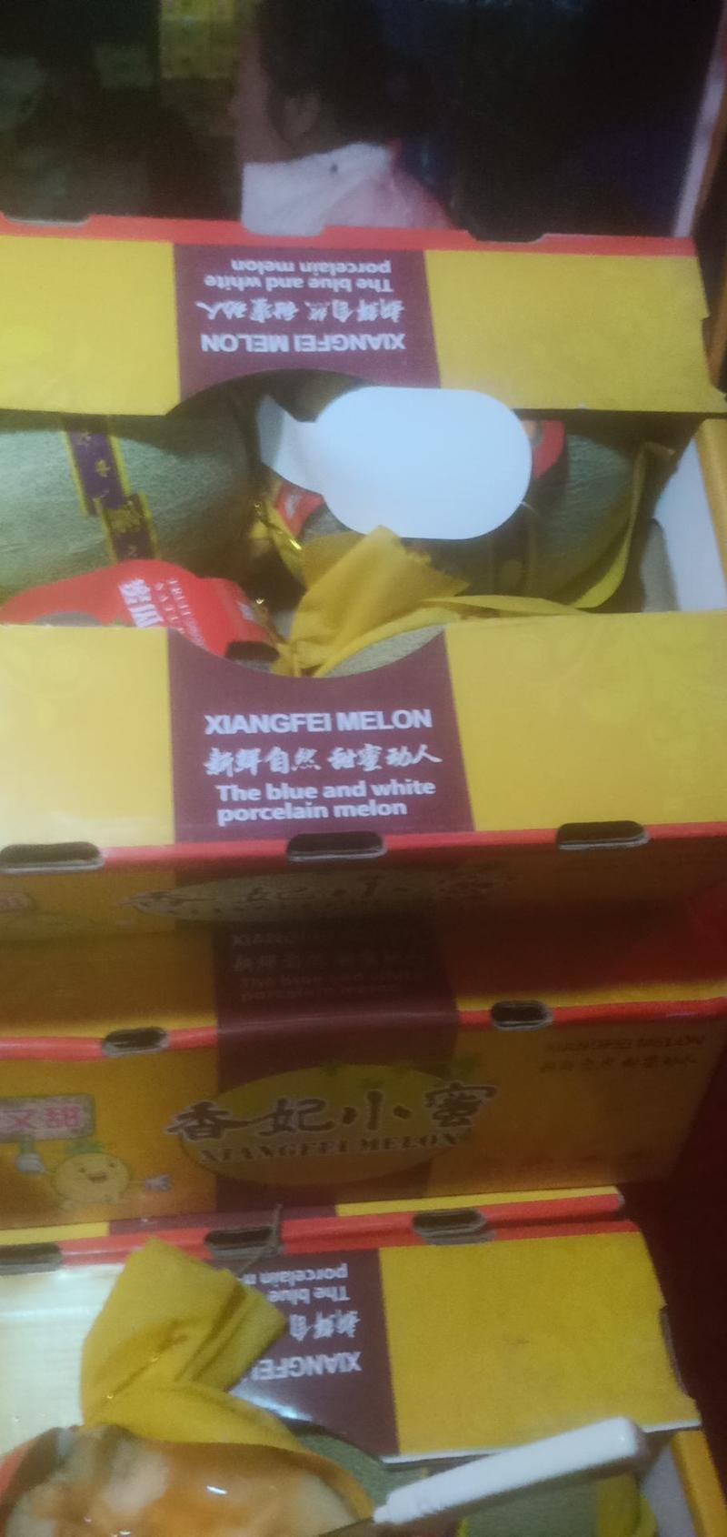 海南精品25号晓蜜瓜大量上市中