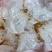 山东海蜇一手货源，酒店、电商合作伙伴，货源充足。可长期