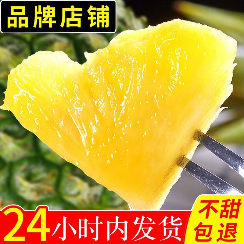 【超甜】新鲜大菠萝香水大菠萝手撕菠萝水果凤梨菠萝批发大果