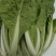 【推荐】精品小白菜/对接商超批发市场/视频看货