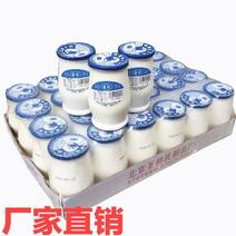热销圣祥老北京酸奶地道蜂蜜酸牛奶原产地实力供货