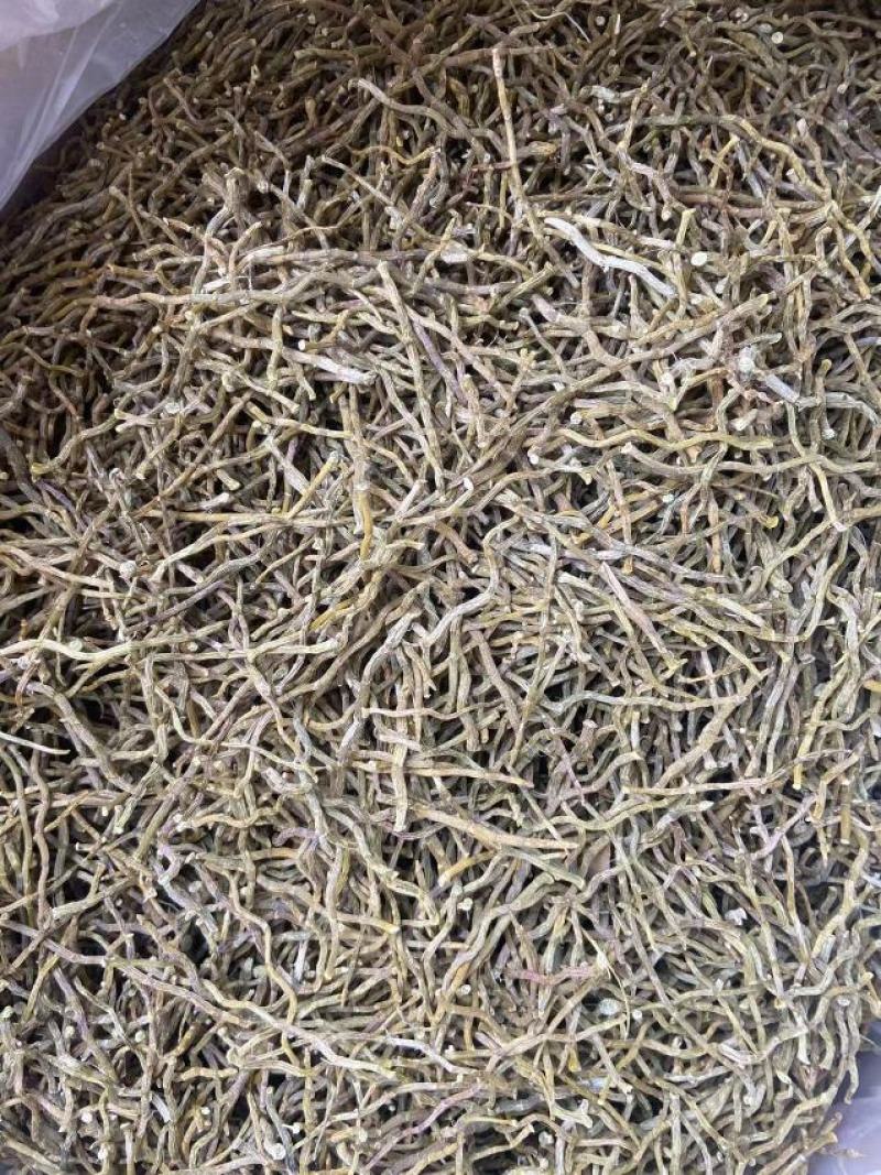 铁皮石斛干条量大从优欢迎选购！