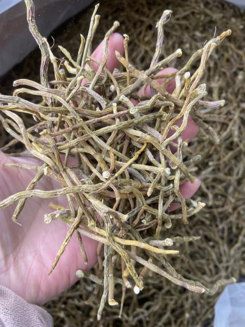 铁皮石斛干条量大从优欢迎选购！