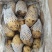 希森六号土豆，荷兰十五土豆加工厂土豆