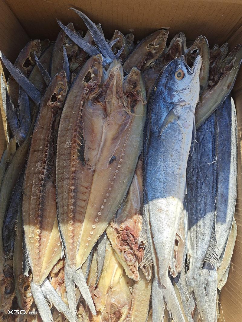 刀鲅鱼腌制咸鱼干，开背去内脏，规格齐全常年有货一手货源