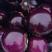 【优选】山东聊城万亩蔬菜产地冷棚紫光园茄保质保量货发全国