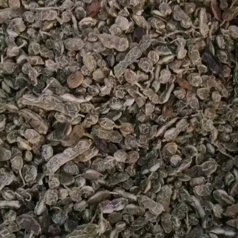 国槐角。槐角